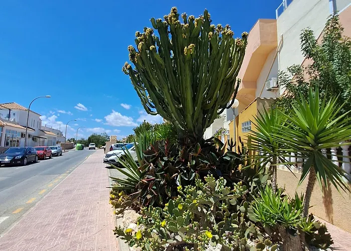 Casa Rosalia